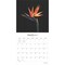 In the Garden | 2025 12 x 24 Inch Monthly Square Wall Calendar | Plastic-Free | Brush Dance | Flowers Plants Floral Photography